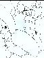 misc 002.jpg